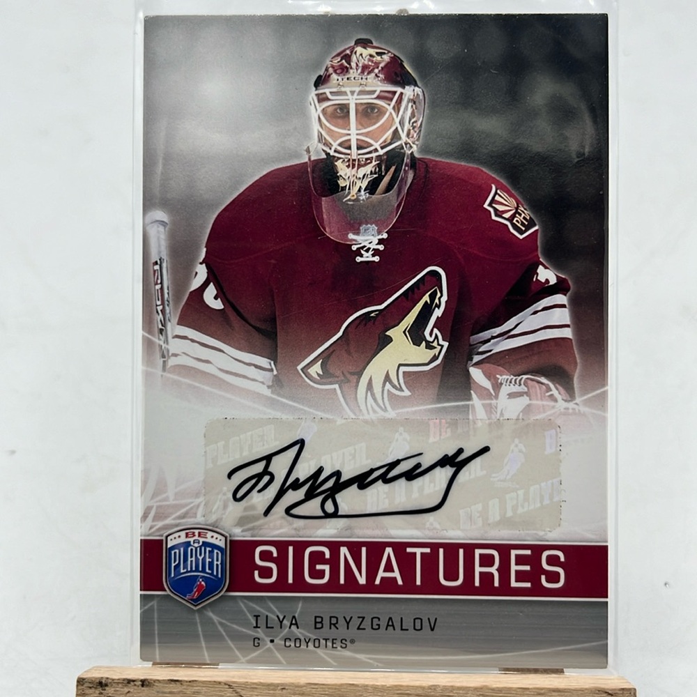 Ilya Bryzgalov Auto